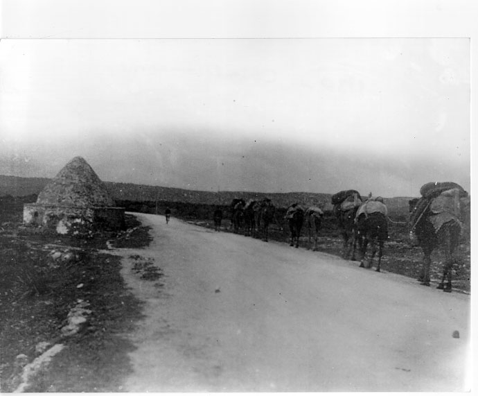 Antalya HakkÄ±nda Her Å ey